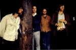 The Doors 1248